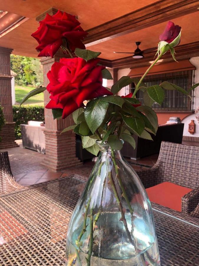 Authentic Andalucia Villa Marbella Ngoại thất bức ảnh